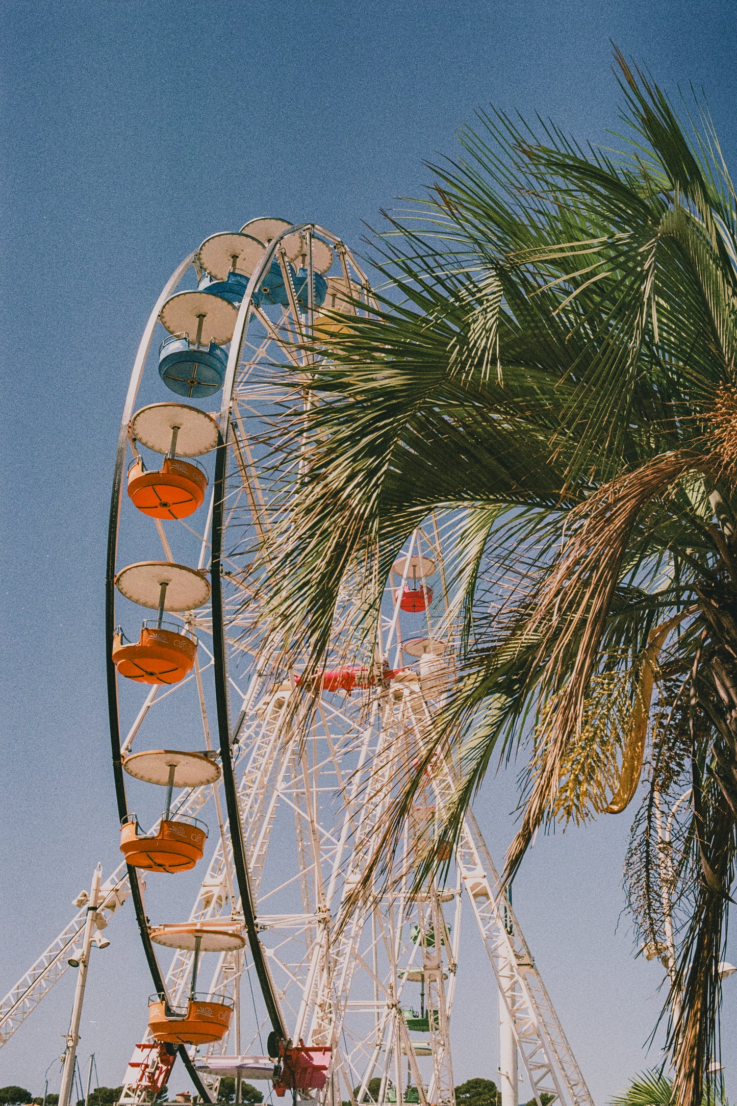 Couleurs d'été, Méditerranée